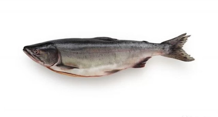 Брюшки лосося см,