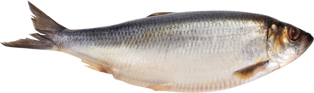 Филе минтая с/м,