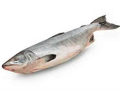 Горбуша с/м н/р