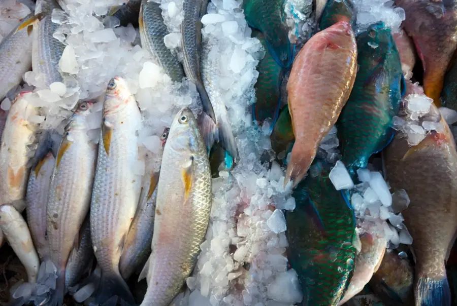 О нашей компании