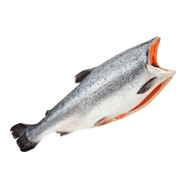 Кета с/м Б/Г